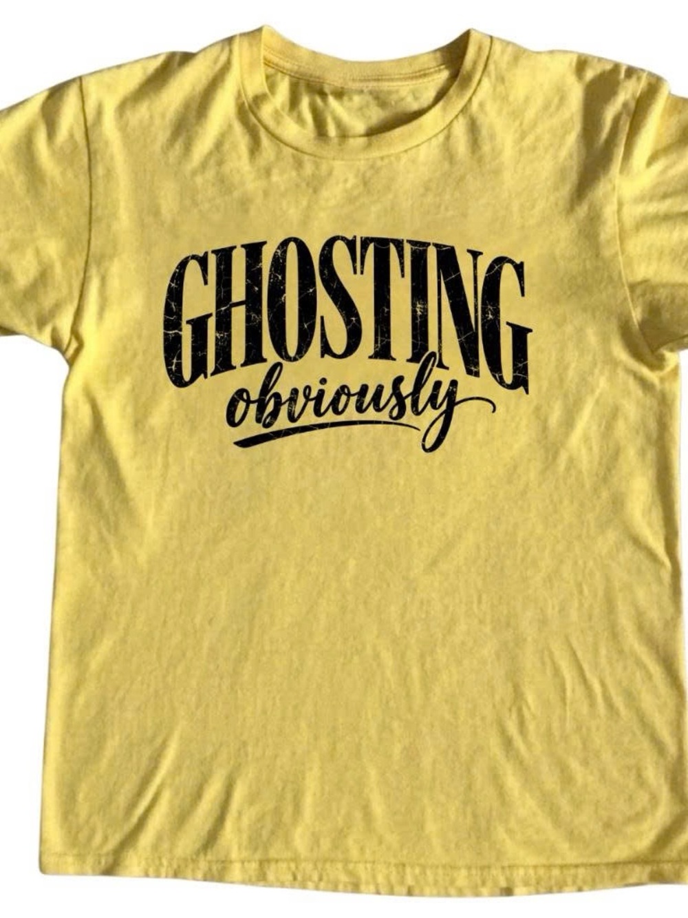 Gildan Shirt  "Ghosting Obviously" Graphic Tee